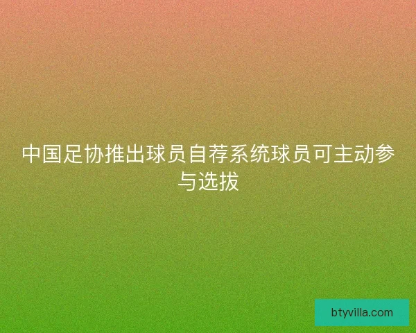 中国足协推出球员自荐系统球员可主动参与选拔